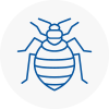 Bed Bug Extermination In Blackrod