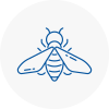 Bee Nest Removal Blackrod