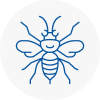 Blackrod Hornet Nest Removals