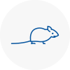 Mice Exterminators In Blackrod
