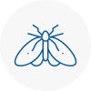 Moth Control Specialists In Blackrod