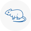 Rat Control Blackrod