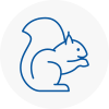 Blackrod Rodent Removals