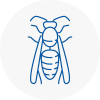 Blackrod Wasp Nest Removal